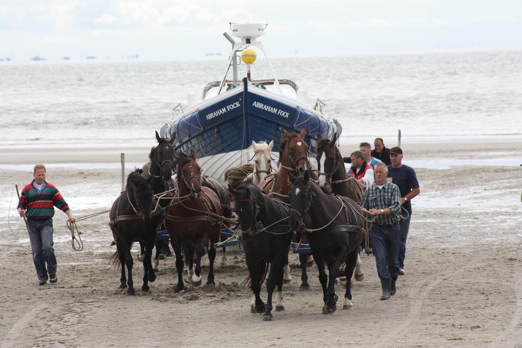 Sier Aan Zee Hollum (Ameland) Exterior foto